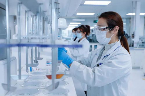 齊魯制藥團體助推生物醫藥財產新質出產力加速成長